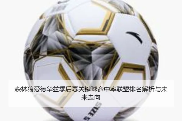 森林狼爱德华兹季后赛关键球命中率联盟排名解析与未来走向