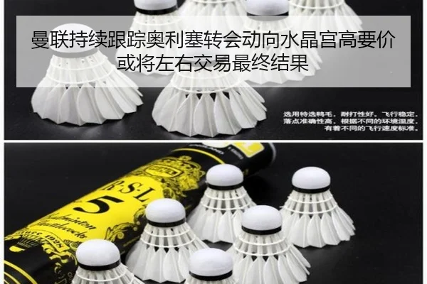 曼联持续跟踪奥利塞转会动向水晶宫高要价或将左右交易最终结果